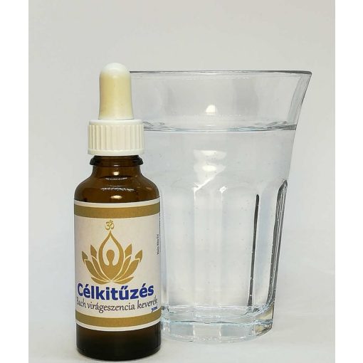 Célkitűzés
