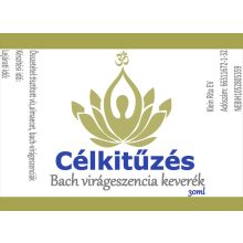 Célkitűzés